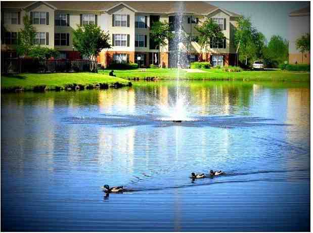 Windsor Lake - Photo 2 of 14