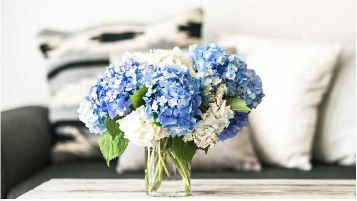 Driftwood Apartments - Photo 3 of 3