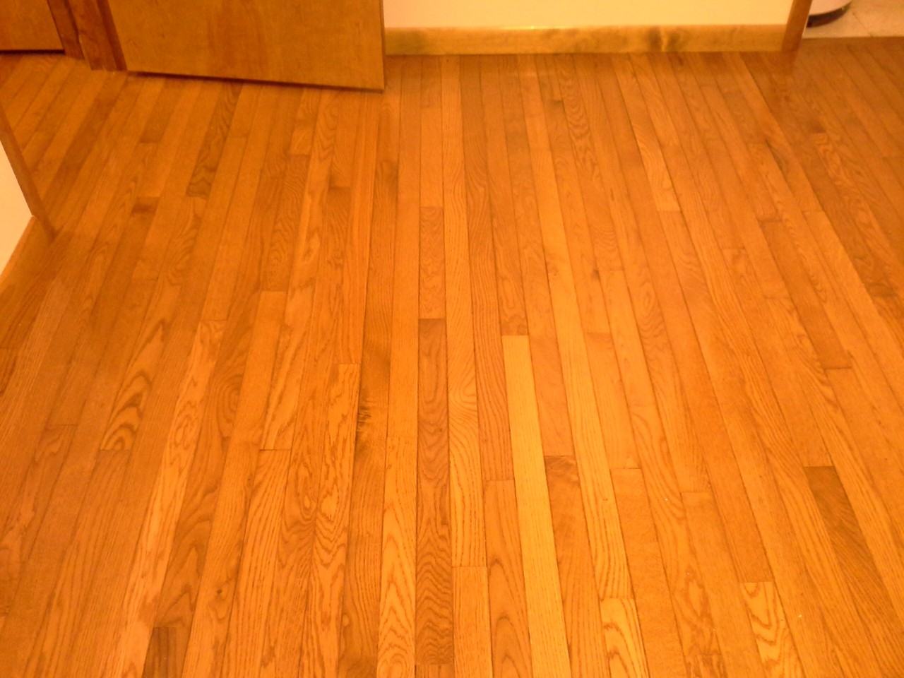 339 Katydid Ln - Photo 2 of 18