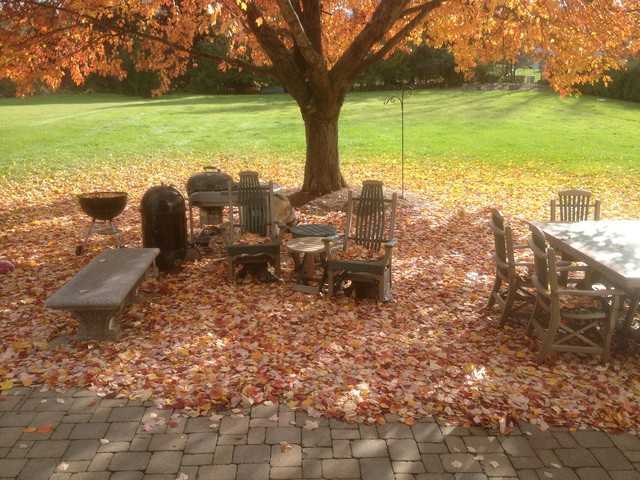 8705 Riley Rd - Photo 2 of 12