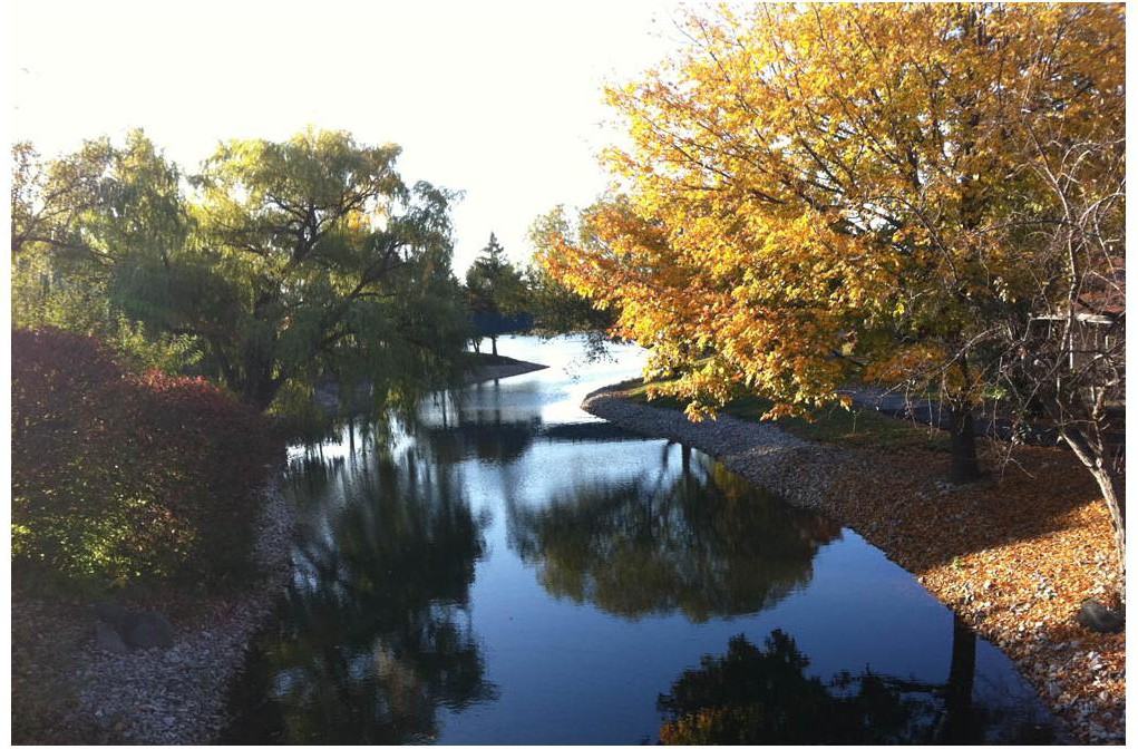 Glenbrook Apartments - Photo 2 of 20