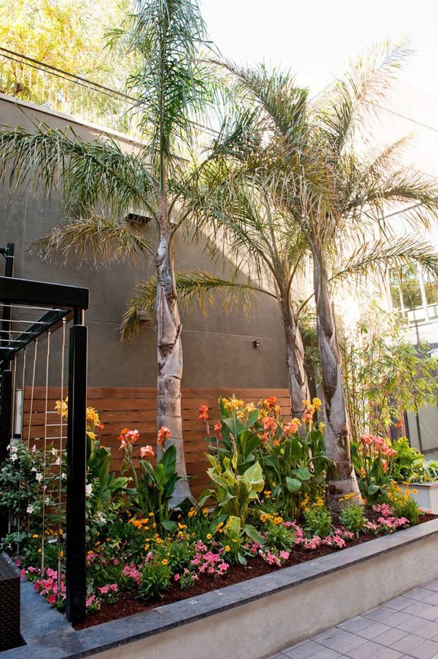 Misora at Santana Row - Photo 2 of 49