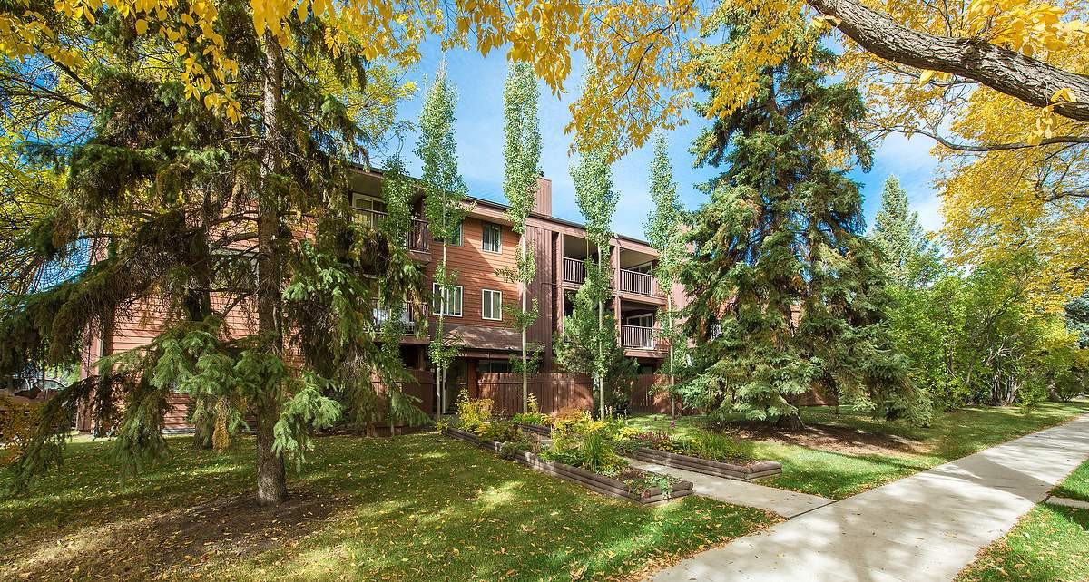 Bay Vista - Photo 3 of 22