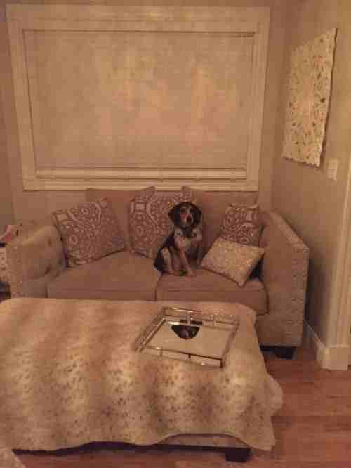 51 Porter St - Photo 3 of 13