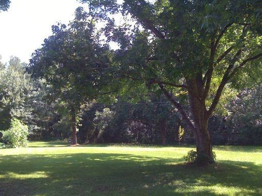 155 Grant Rd - Photo 2 of 6