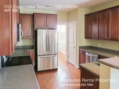 1101 Dawn View Terrace #1101DAWN - Photo 3 of 16