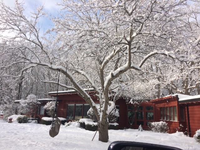 46 Old Creek Rd - Photo 2 of 43