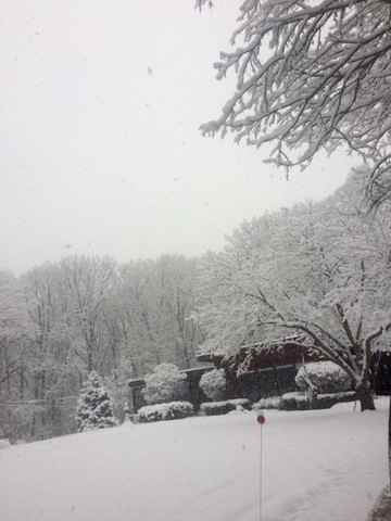 46 Old Creek Rd - Photo 3 of 43