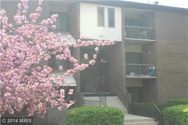 11210 Cherry Hill Rd #111 - Photo 2 of 19