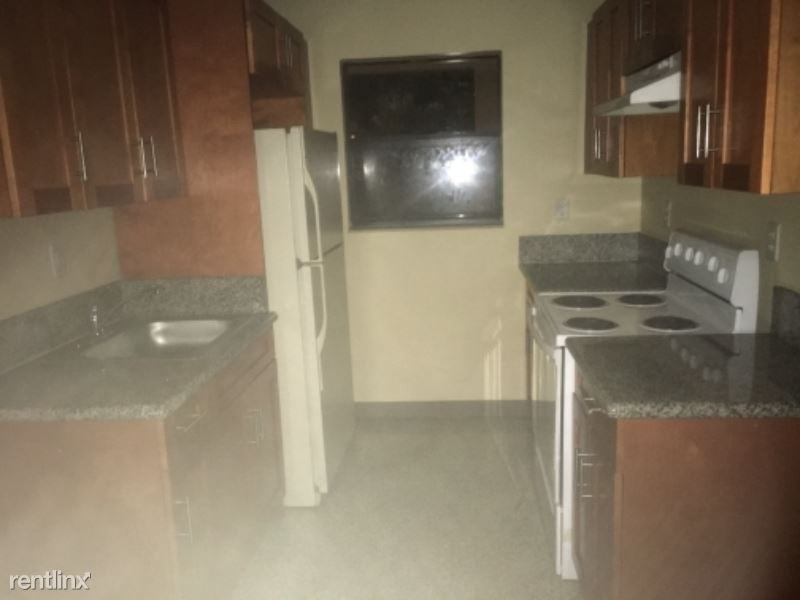 333 N New River Dr E - Photo 3 of 20