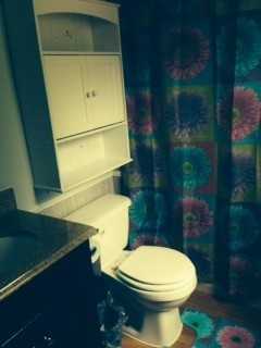 389 Tall Pine St - Photo 2 of 10