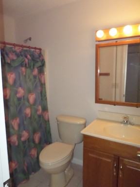 6619 Spring Flower Dr #22 - Photo 2 of 4