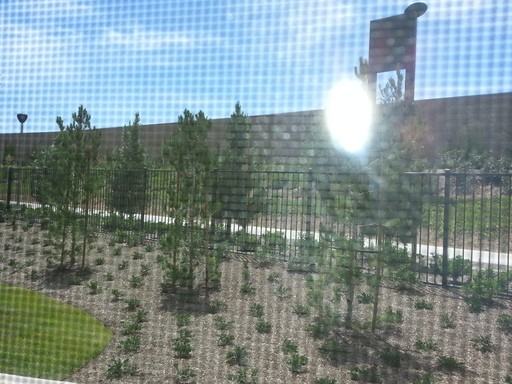 60 60 Rose Arch - Photo 3 of 19