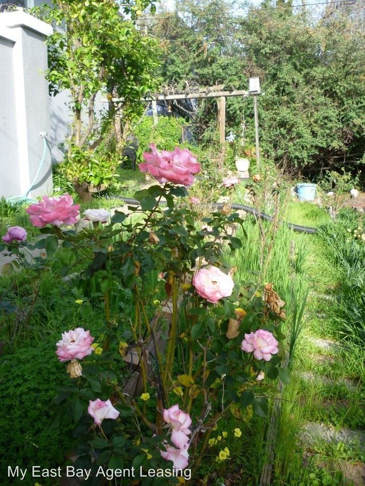 5858 Lawton Ave - Photo 2 of 17