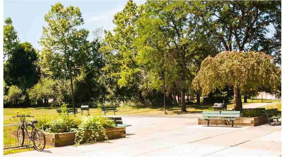 Cedar Place - Photo 3 of 15