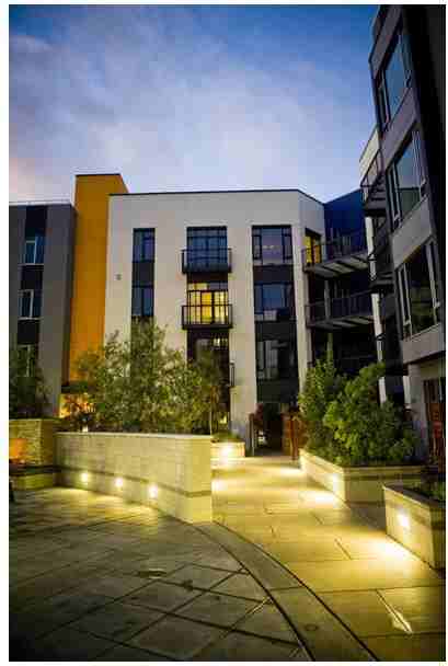 Levare at Santana Row - Photo 2 of 19