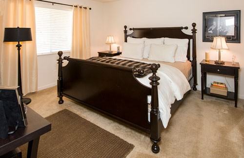 Dresden Forest - Photo 3 of 4