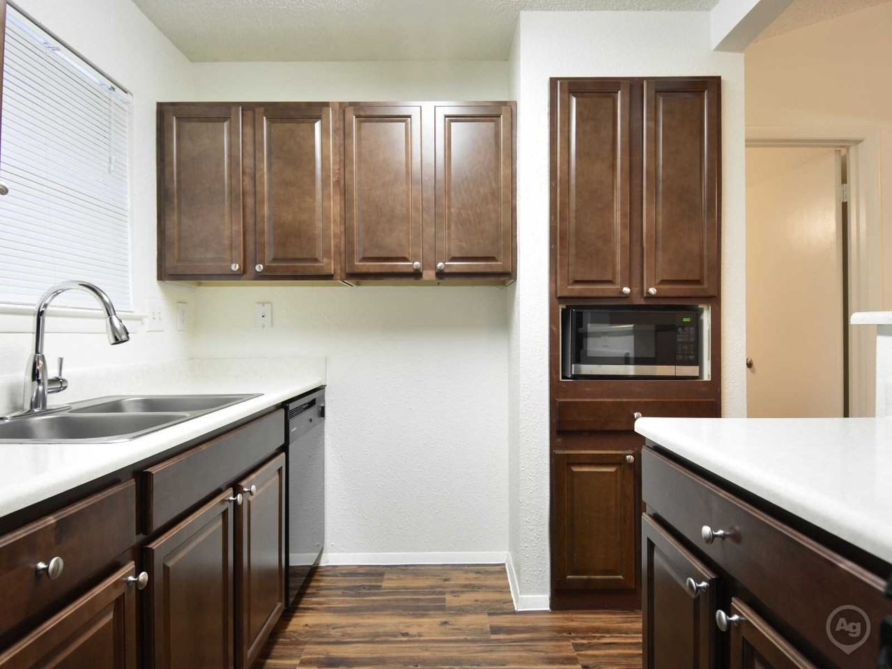 The cheapest apartment rentals for rent in Zilker, Austin