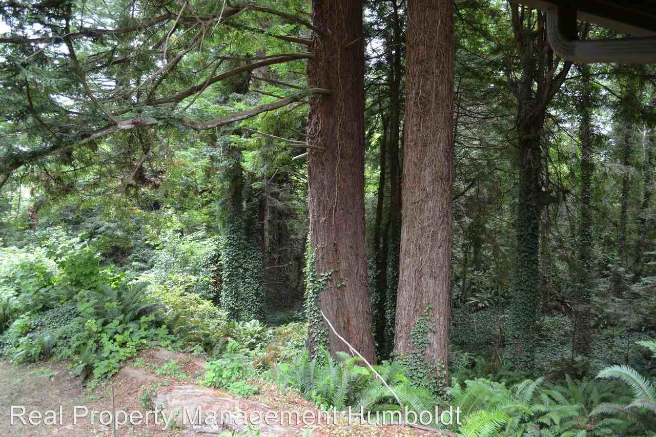 52 Okega Ln - Photo 3 of 11