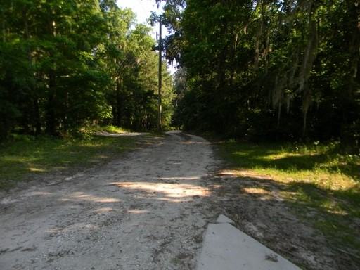 3420 SE 185 Ave - Photo 3 of 22