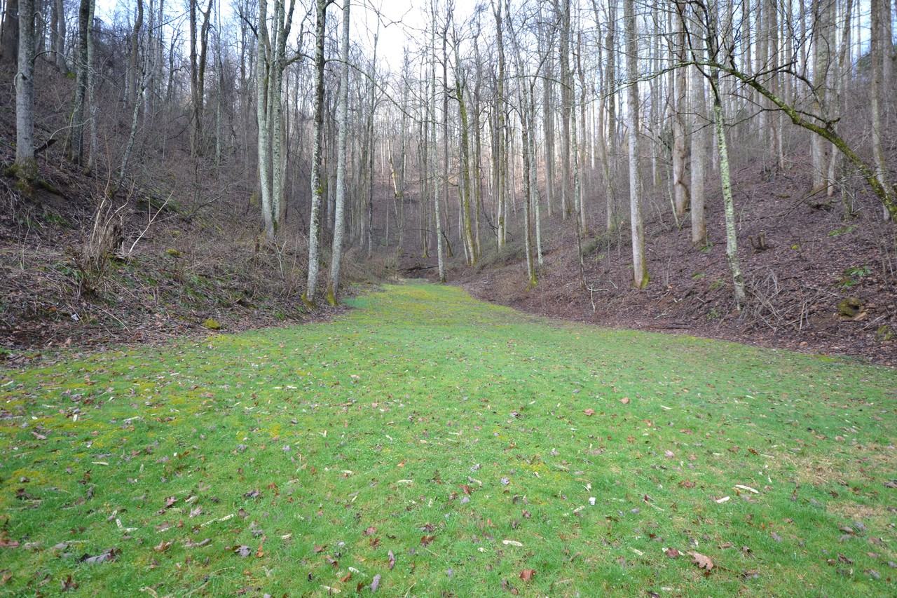 790 Thompson Rd - Photo 3 of 12