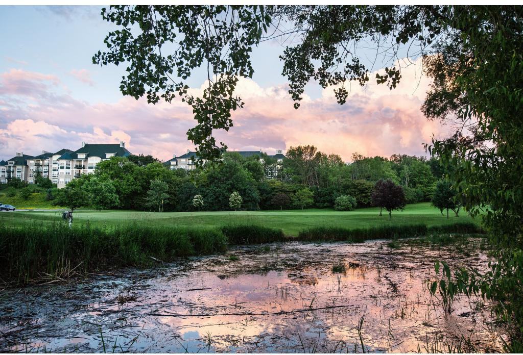 The Club at Brookfield Hills - Photo 3 of 20