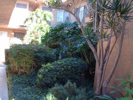 3761 Boundary St #6 - Photo 3 of 10