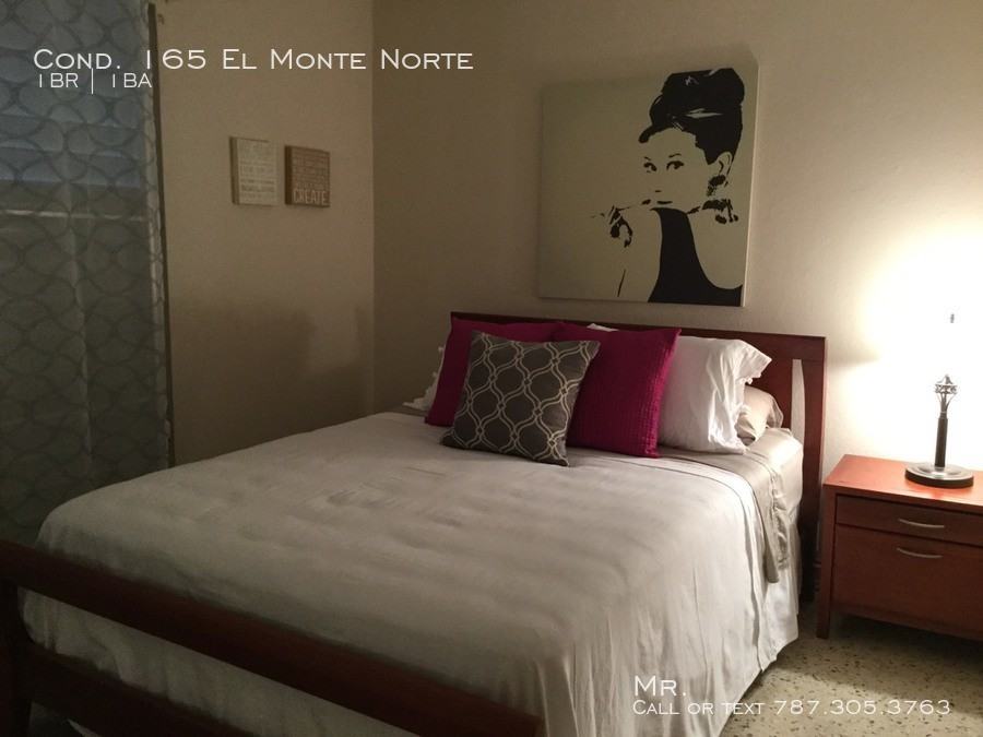 Cond. 165 El Monte Norte - Photo 2 of 5