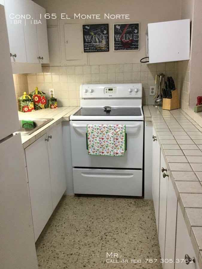 Cond. 165 El Monte Norte - Photo 3 of 5