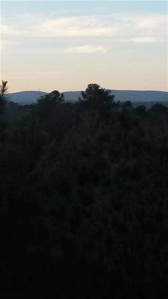 Walden Crossing Apartment Homes - Photo 3 of 9