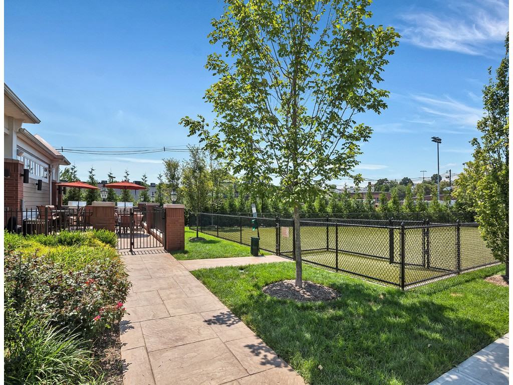 Vermella Crossing - Photo 3 of 27