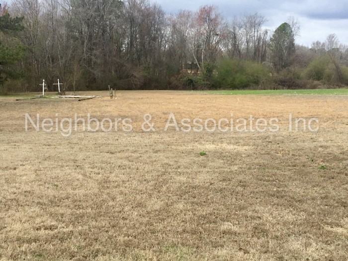 115 Upchurch Farm Ln - Photo 2 of 11