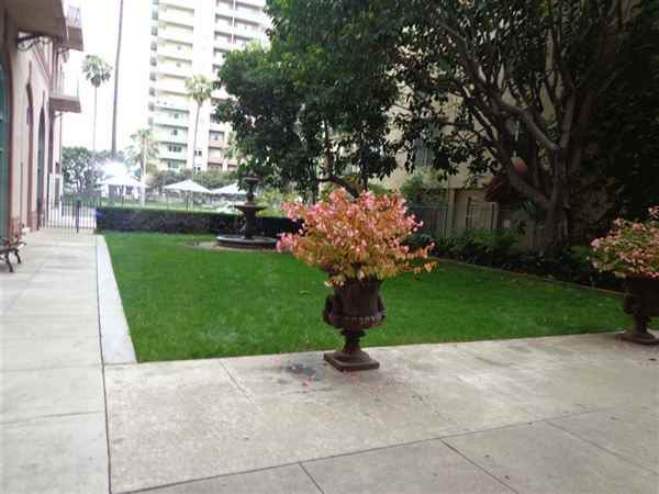 The Cooper Arms HOA,  Condo  212 - Photo 2 of 8