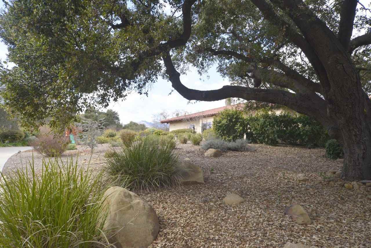 10951 Encino Dr - Photo 3 of 50