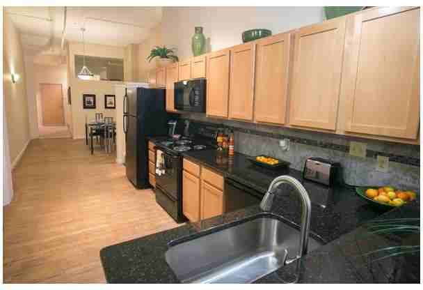 The Bingham - Photo 3 of 20