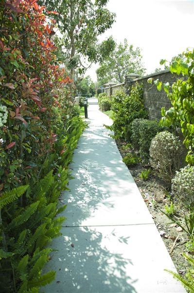 2686 Night Jasmine Dr - Photo 2 of 17