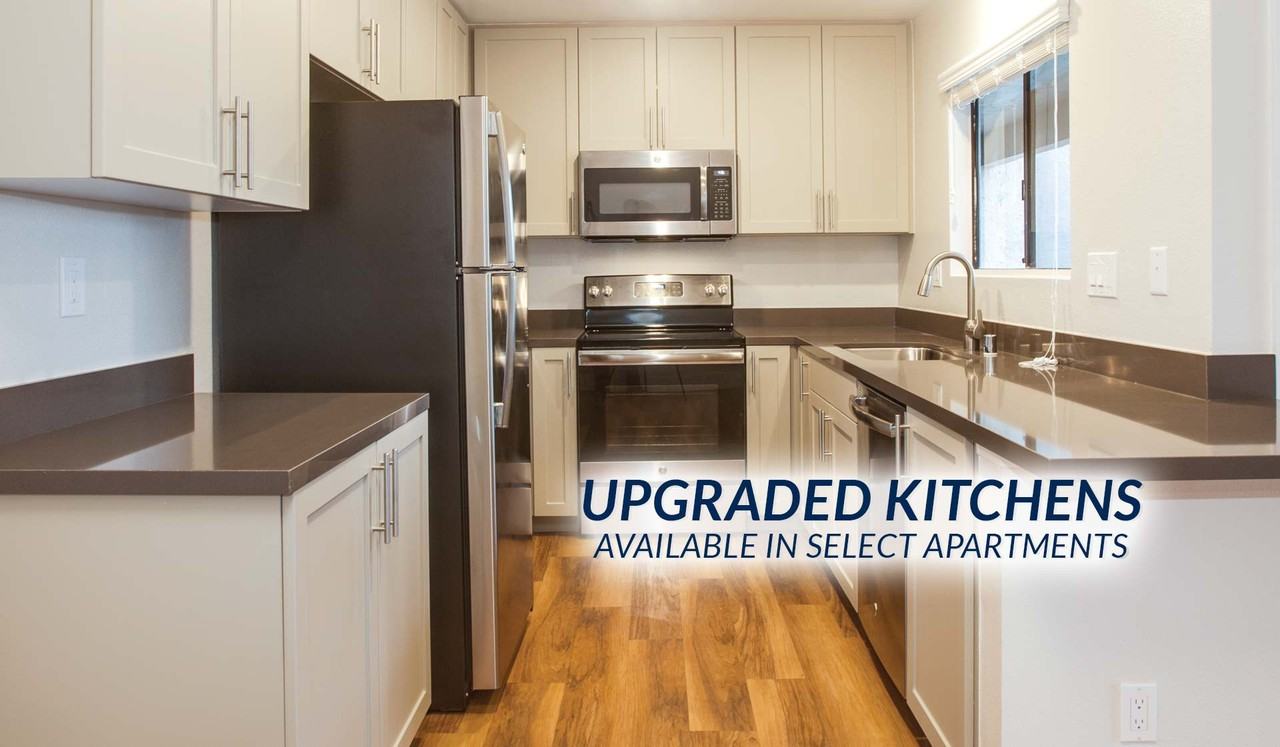 Island Club Apartments - Photo 3 of 19