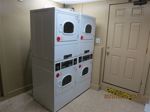 206 Fox Run Ln - Photo 3 of 11