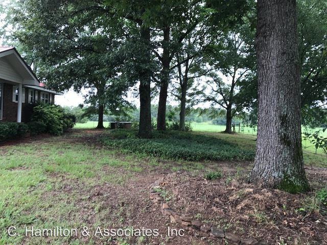 591 Collier Church Rd - Photo 3 of 11