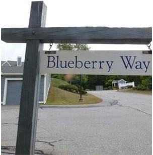 6 Blueberry Way #6 - Photo 3 of 25