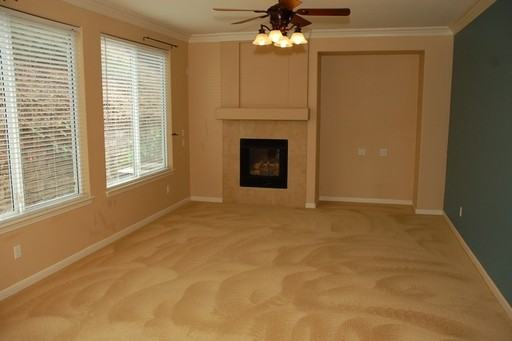 983 Ponderosa St - Photo 3 of 18