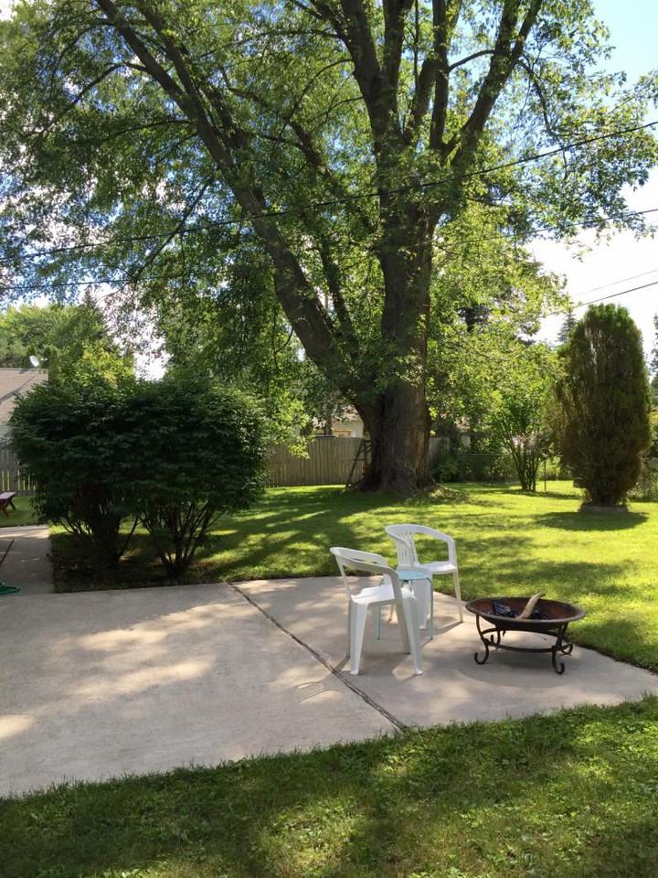 7278 Maple Rd - Photo 3 of 6