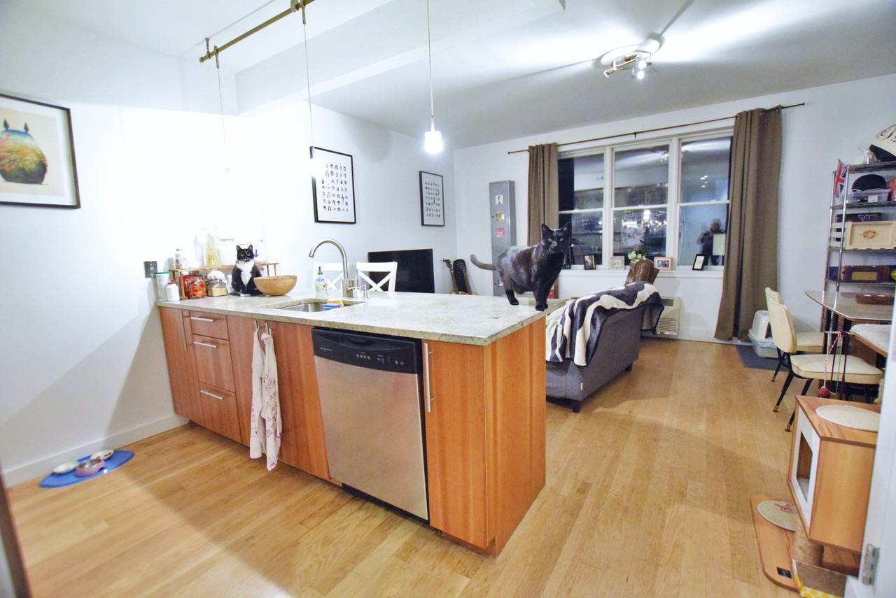 26 Cook Street #wq, New York, NY 11206 - 1 Bedroom Apartment for Rent ...