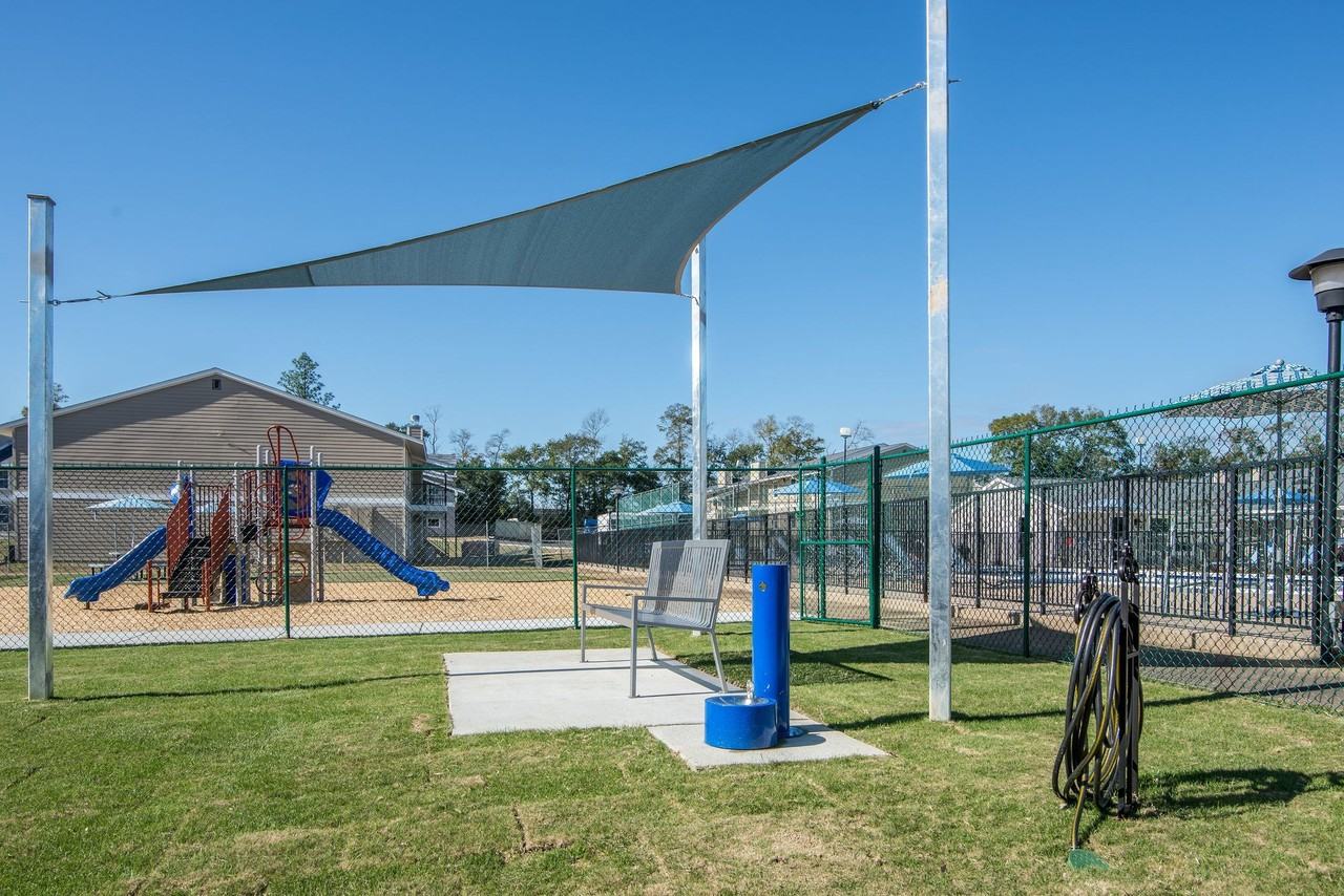 Mirabelle - Photo 2 of 20