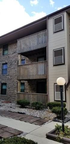 4553 W 56th St #205A - Photo 2 of 13