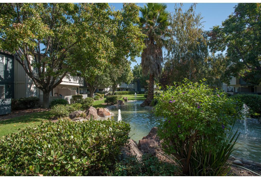 Sagemark - Photo 2 of 20