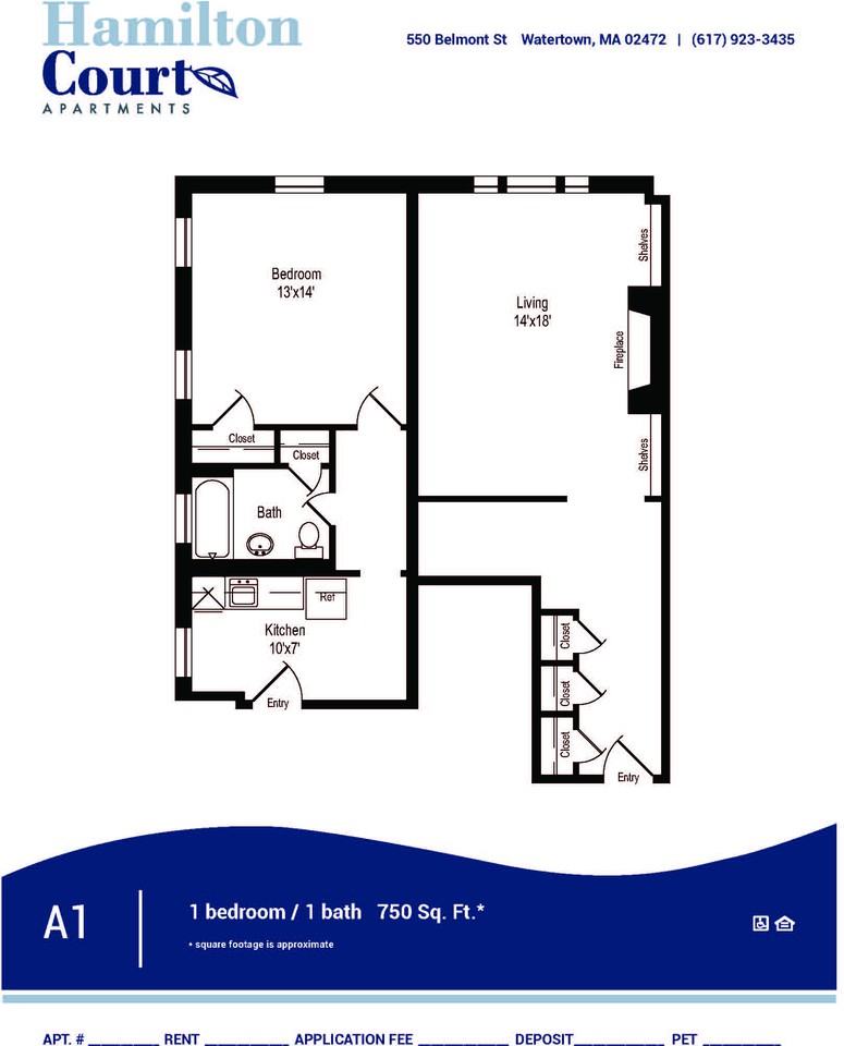 Hamilton Court Apartments For Rent Rentals - 550 Belmont St Watertown Town Ma 02472 - Zumper