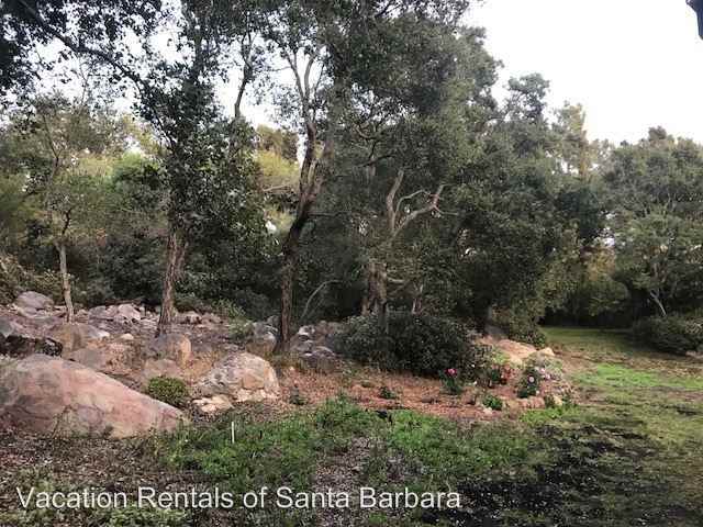 725 Oak Grove Dr - Photo 2 of 15