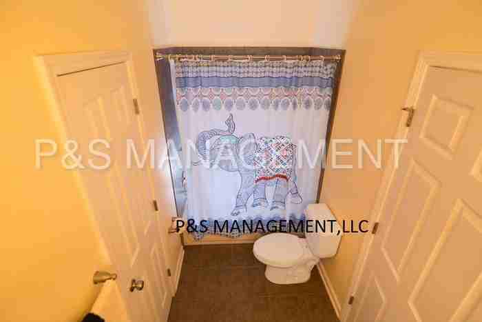 14188 Amber Creek Ct - Photo 3 of 18