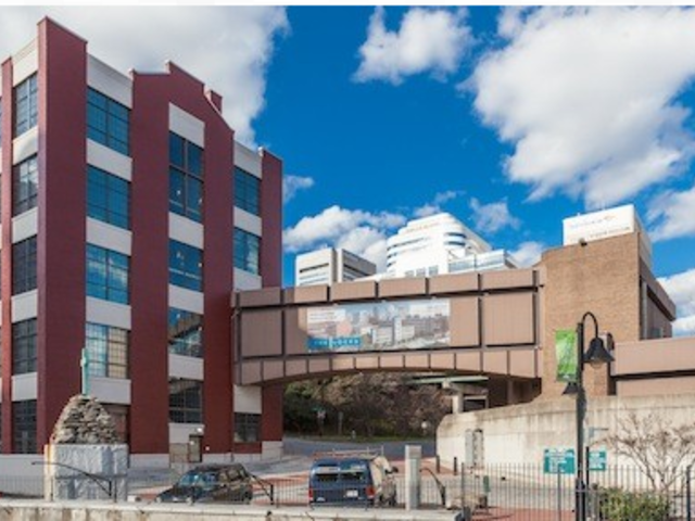 The Locks - Photo 3 of 6